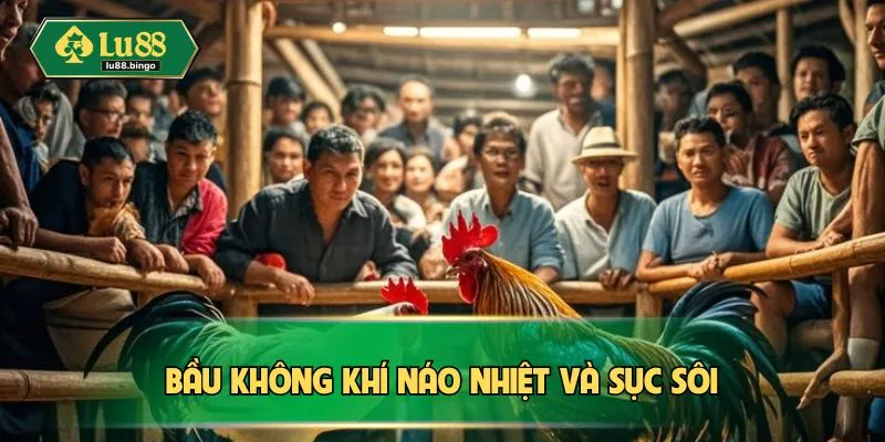 Đá Gà Thomo - Cược Nhanh Tay, Chơi Ngay Thắng Đậm Tại LU88 Bầu không khí náo nhiệt và sục sôi