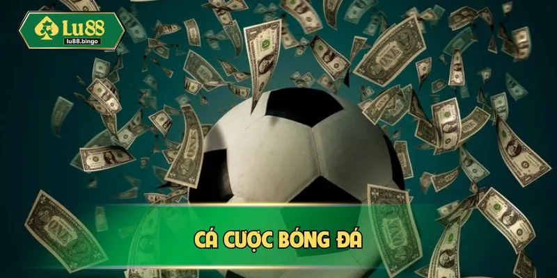 Cá Cược Bóng Đá LU88 – Tỷ Lệ Thắng Cao, Thu Hoạch Lợi Nhuận Cá cược bóng đá