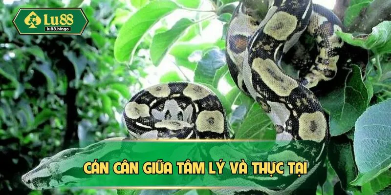 Nằm Mơ Thấy Rắn - Những Điềm Báo Quan Trọng Tiềm Ẩn Cán cân giữa tâm lý và thực tại