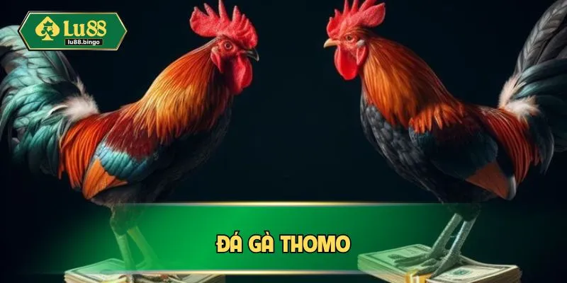 Đá Gà Thomo - Cược Nhanh Tay, Chơi Ngay Thắng Đậm Tại LU88 Đá Gà Thomo