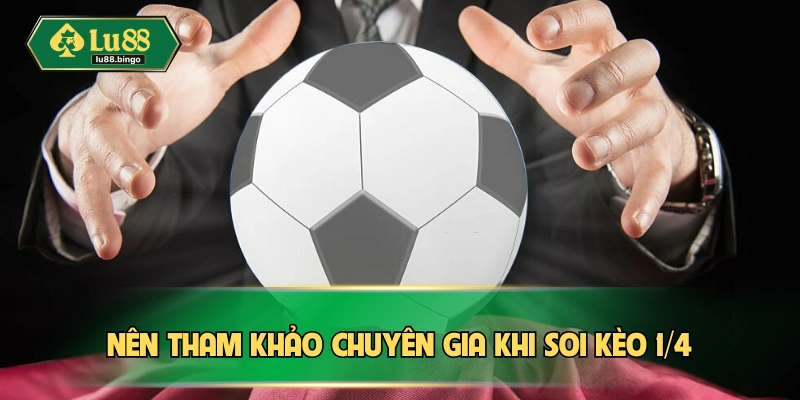 Kèo 1/4 | Hiểu Rõ Đủ Thông Tin Giúp Thuận Lợi Ăn Thưởng Gợi ý từ chuyên gia luôn rất tuyệt vời