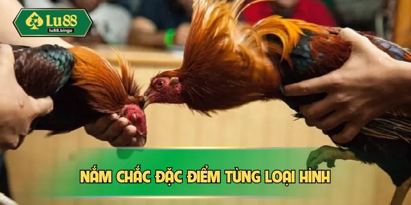 Đá Gà Thomo - Cược Nhanh Tay, Chơi Ngay Thắng Đậm Tại LU88 Nắm chắc đặc điểm từng loại hình