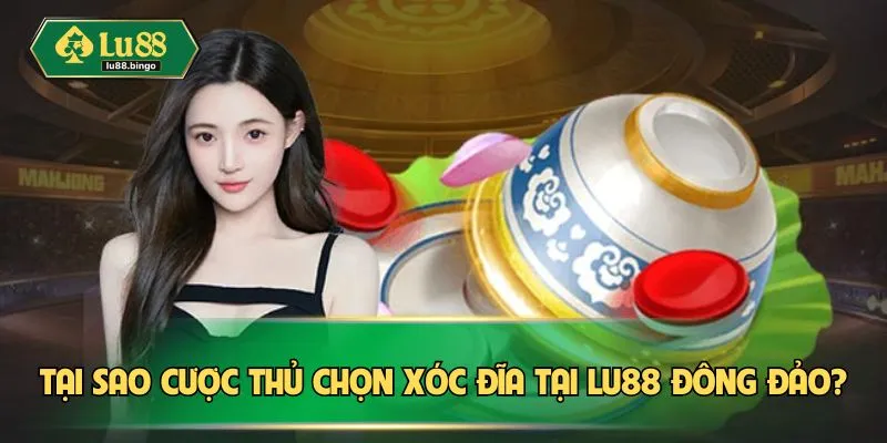 Tại sao cược thủ chọn xóc đĩa tại LU88 đông đảo?